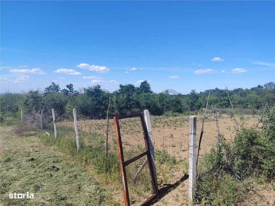 RECO Teren intravilan Paleu