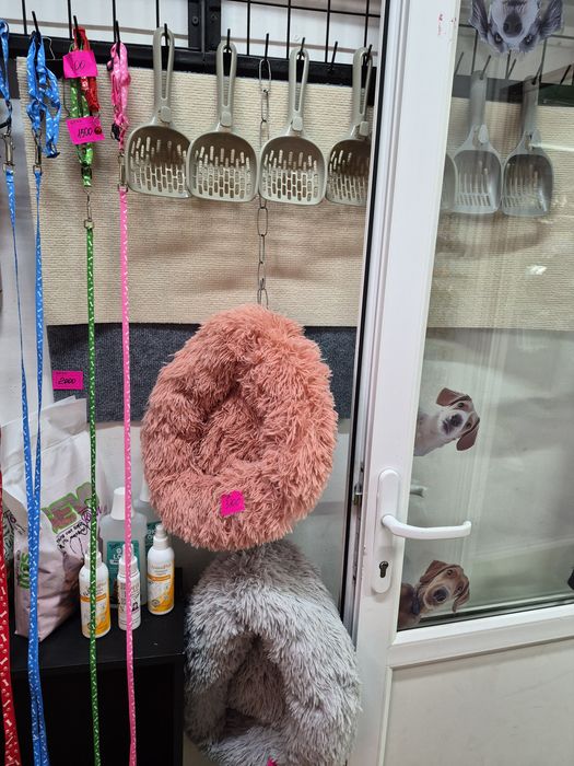 В продаже все для любимых питомцев