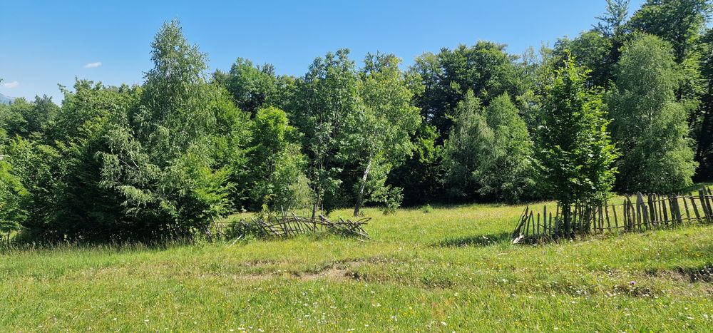 Teren Loturi Talea-Breaza lângă pădure