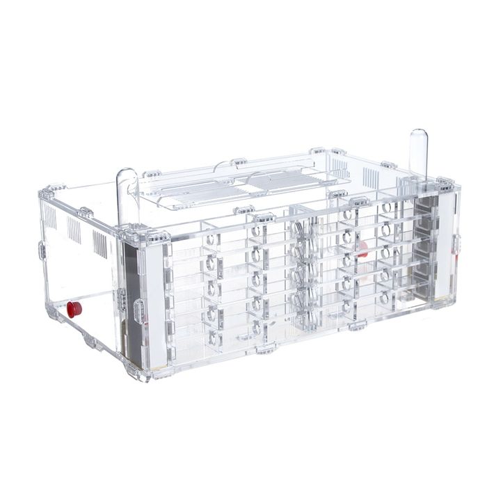 Муравьиная ферма crystal xl + декор в подарок