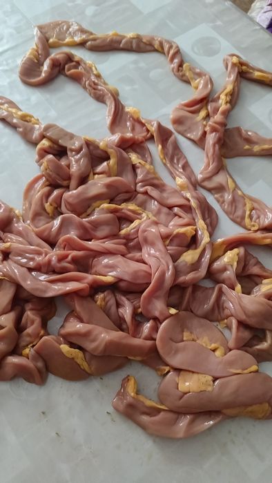 Жылқының ішегі шұжыққа