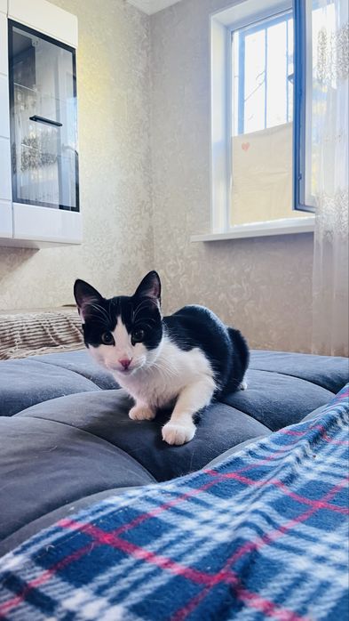 Мальчик 6 месяцев