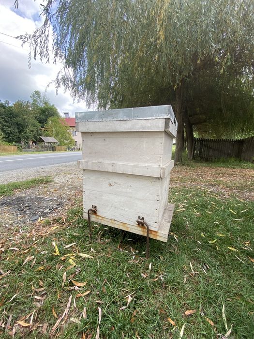 Stup cu cat cu 10 rame, 1/1 si 3/4