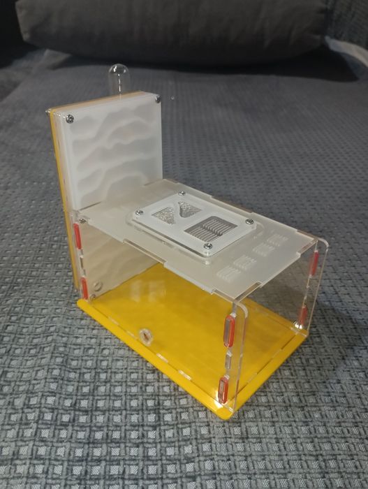 Муравьиная ферма, формикарий