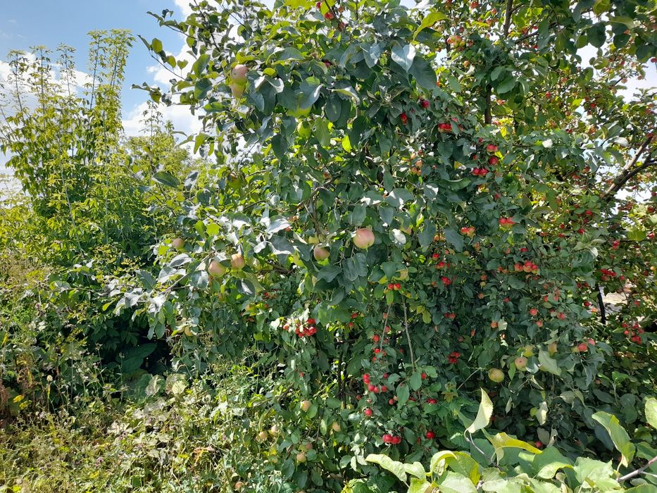 Продам дом 40км от Астаныы