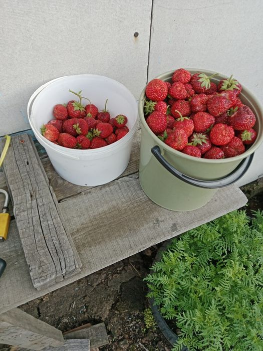 Продам дачу, с/о Эврика