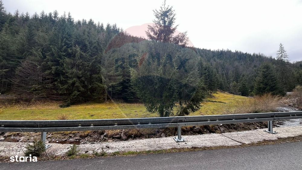 Arieșeni–Strada Fața Cristesei -Teren 4.331 mp cu Peisaj de Poveste