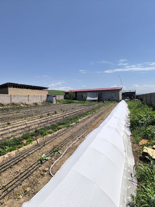 Продается дом 15 соток