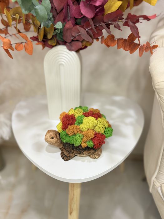 Костенурка със скандинавски мъх