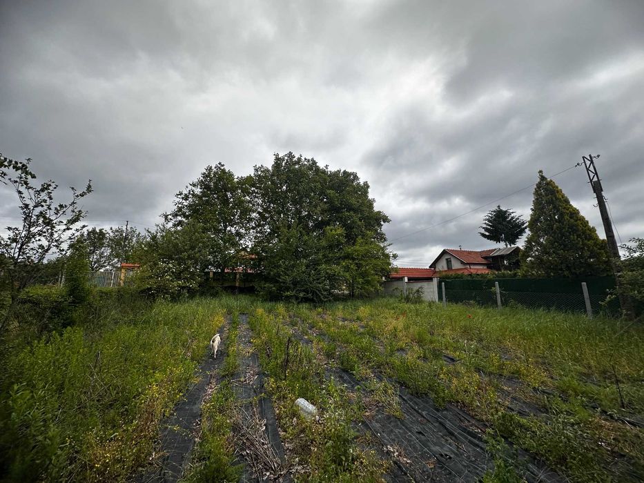 Продава се Парцел в Разград, Абритус - 1275 кв.м за 28 €/кв.м - Снимка #5