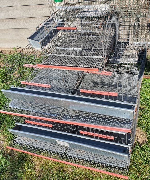 Vând cuști pentru iepuri, cuști pentru  prepelițe, maternitate pui