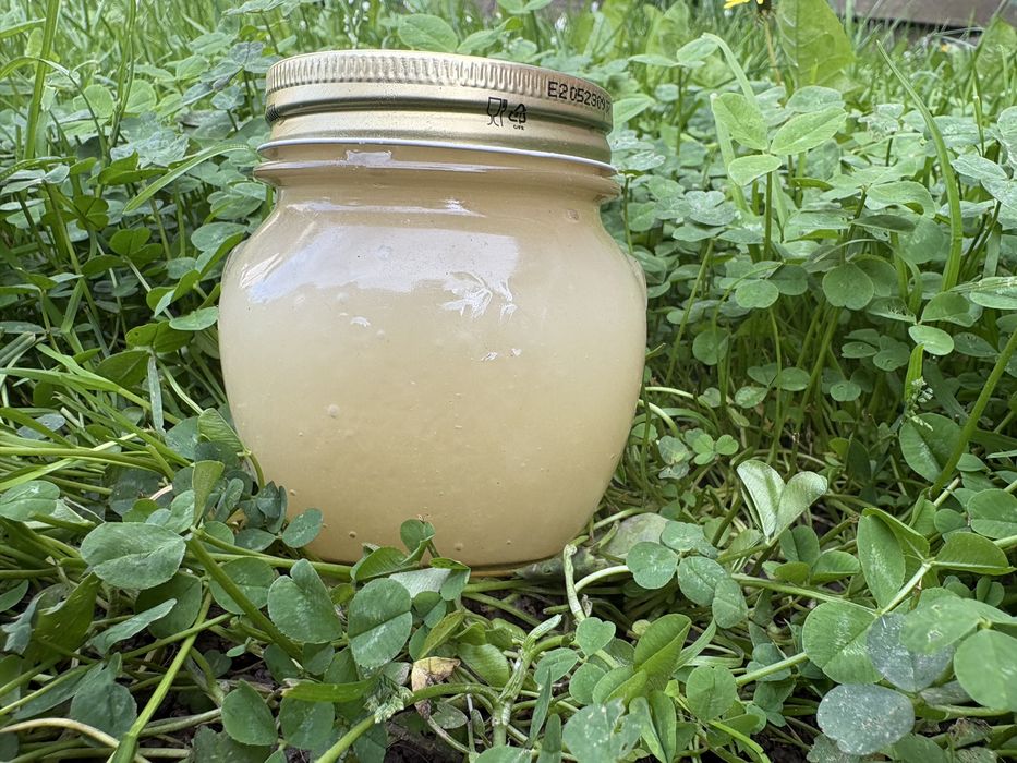 Miere de rapiță naturală