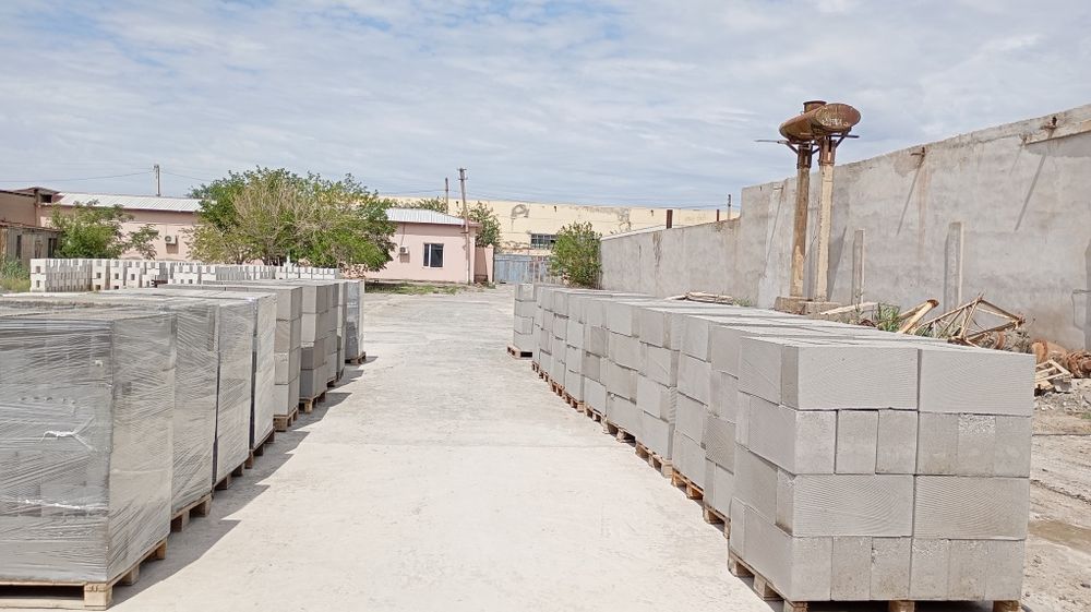 Katta boshli jinsiy olatni