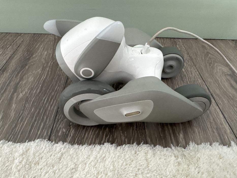 Loona robot сабачка