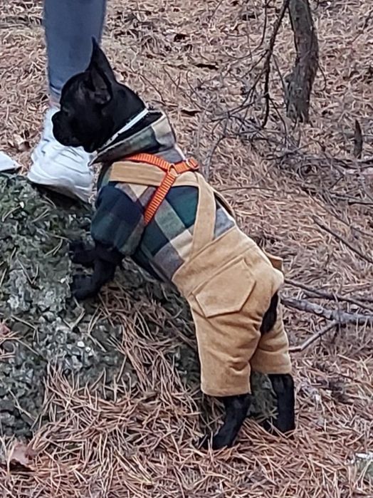 Комбинезон для собак. Размер М. С утеплителем.