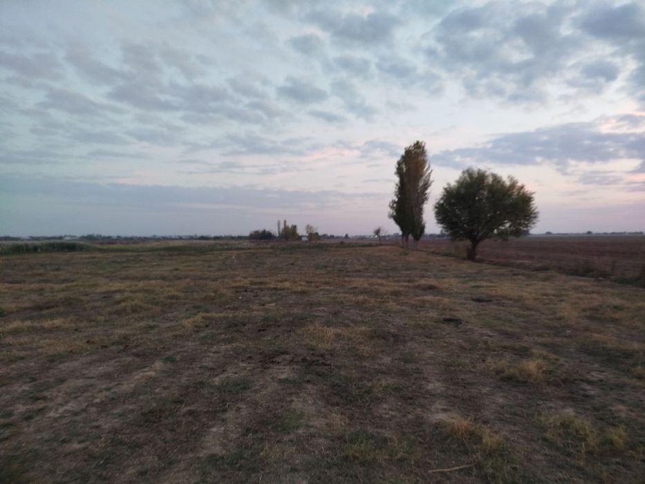 Toza yer joyi tomorqa