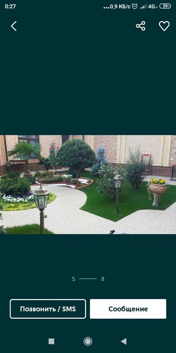 Gazon ekamiz, tayyor rulonli gazonimiz ham bor