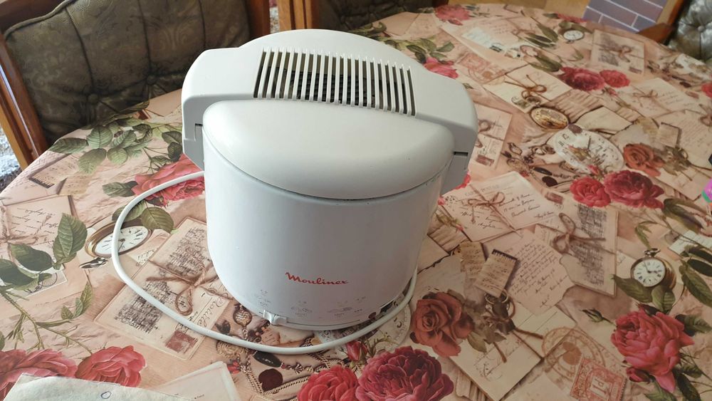 Fripteuza pentru prajit cartofi