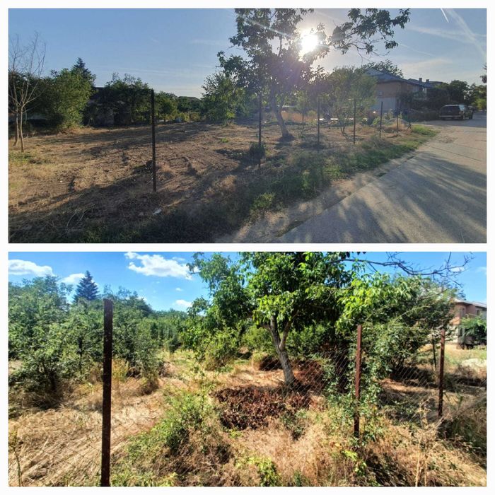 Igienizare, defrisare, curatare terenuri, vegetatie, ambrozie