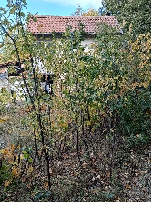 Продава се Къща в Враца, Вежен - 100 кв.м за 128 €/кв.м - Снимка #21