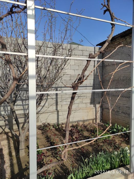 Продается дом в районе клиники ,,Орымбаева,,.