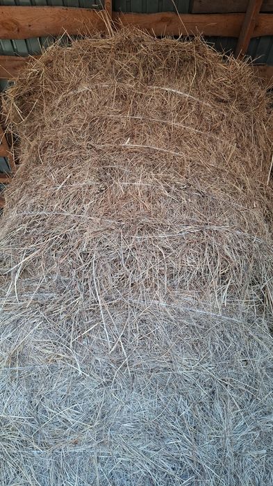 Продам сено сухое под крышой была