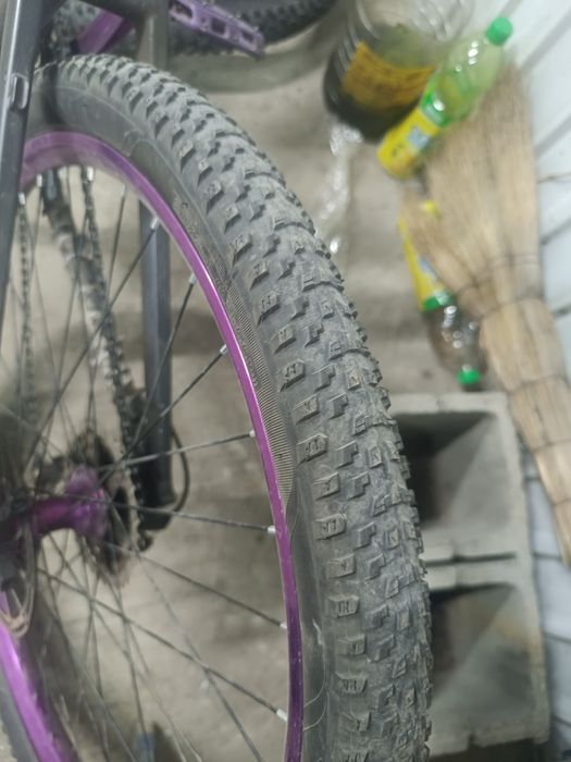 Продам Maxxis pace
