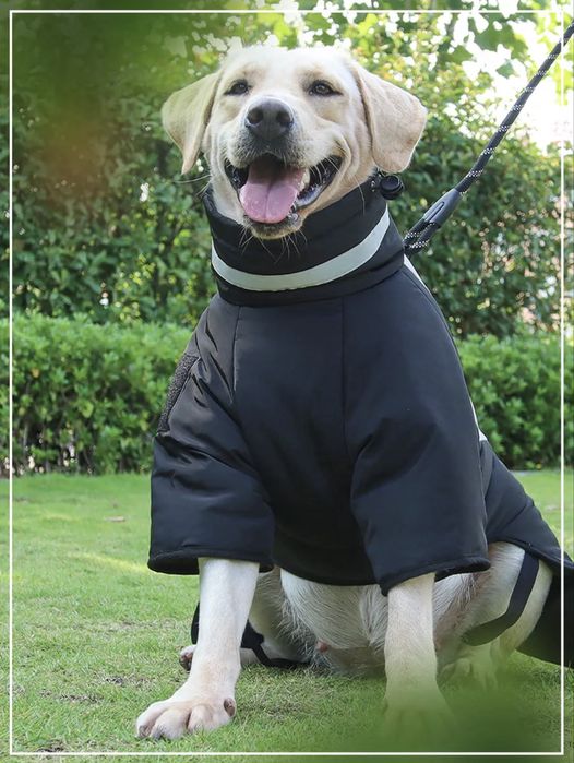 Куртка для собак