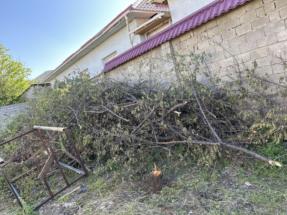 Дрова под ними есть еще балки