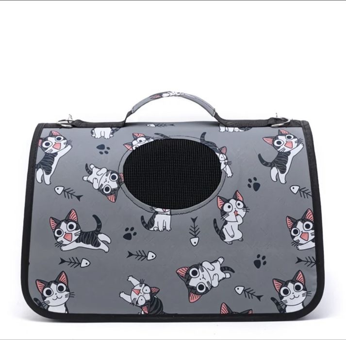 Отдам даром котенка