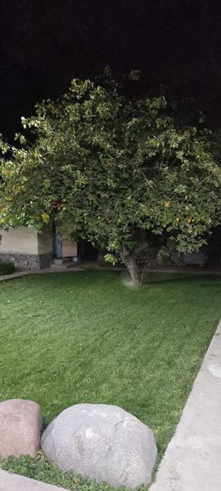 Продаётся дача в районе Паркент