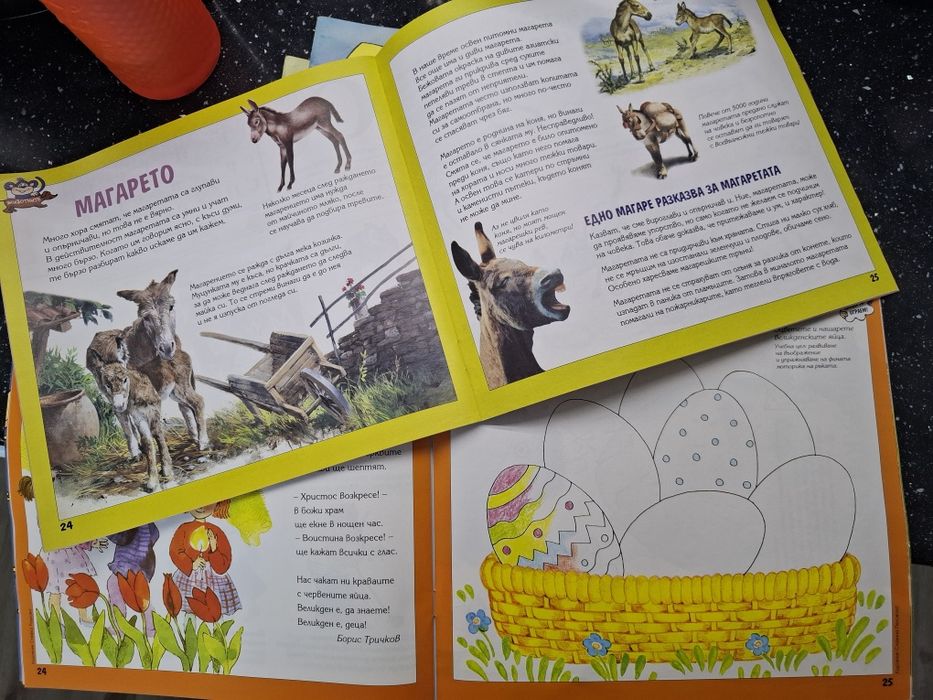 Бърборино детски книжки