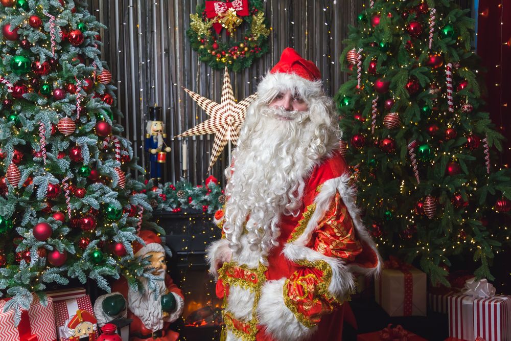 Дед Мороз в каждый дом