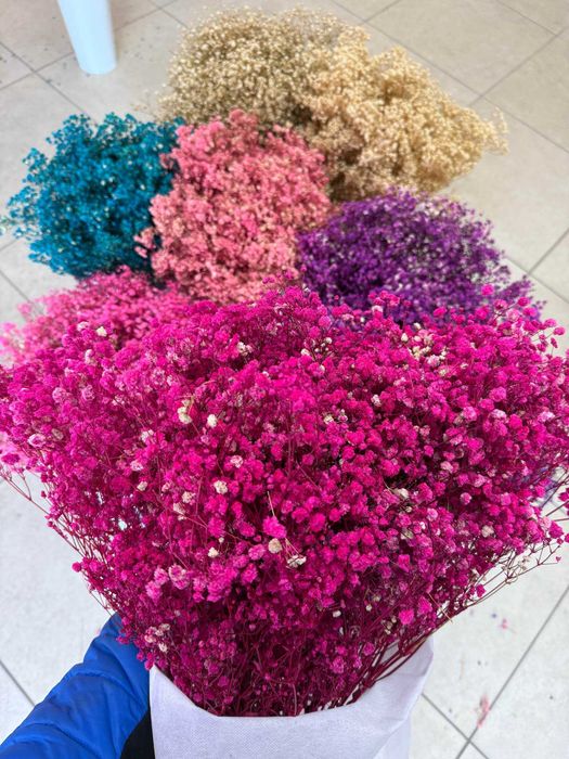 Сух гипсофил - 400 грама