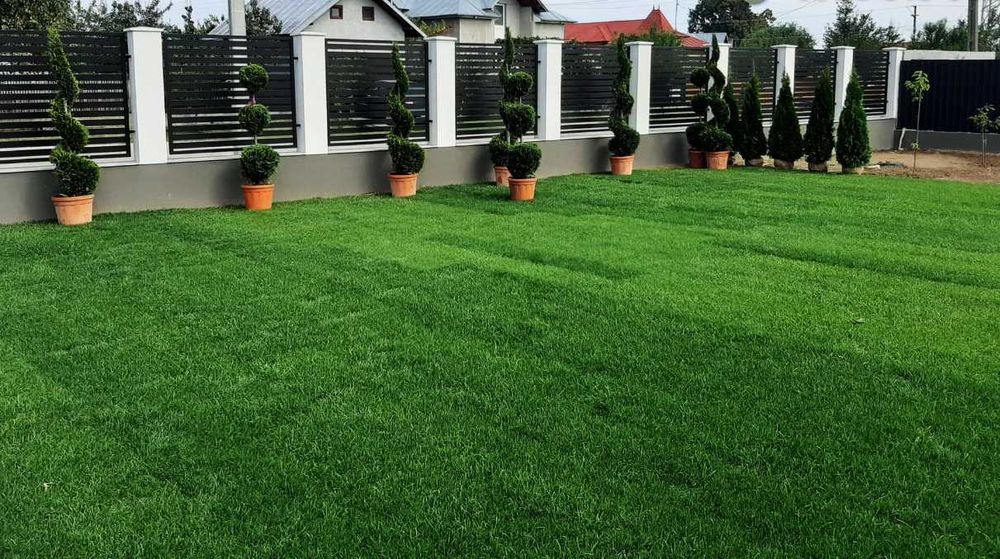 Gazon Verde Premium pentru Orice Curte