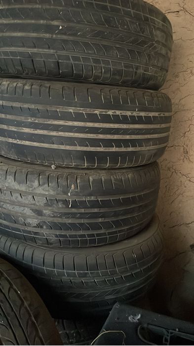 торус бар сатылатын лета зимамен келісеміз