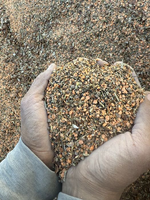 Продам чистый, сухой красный отход чечевицу