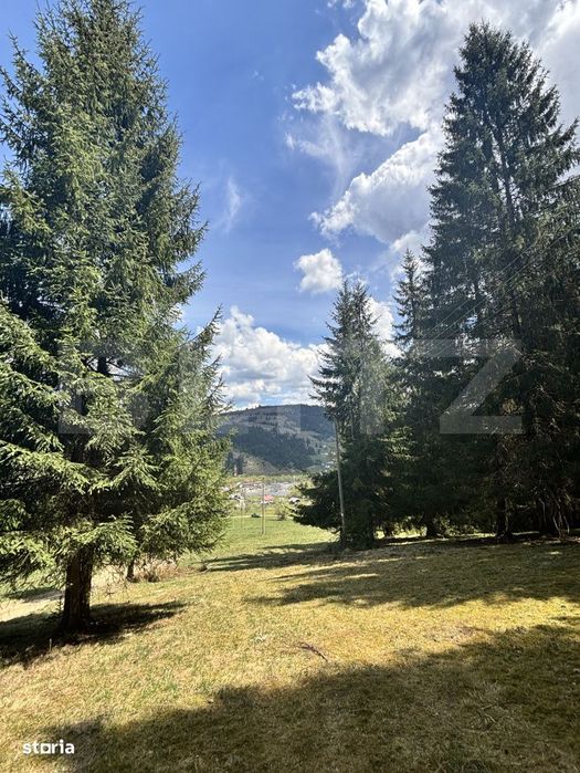 Teren in Vatra Dornei, str Rosu, 8450 mp, extravilan + intravilan