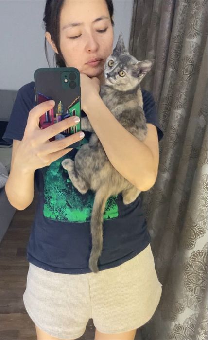 Кошечка 8 месяцев