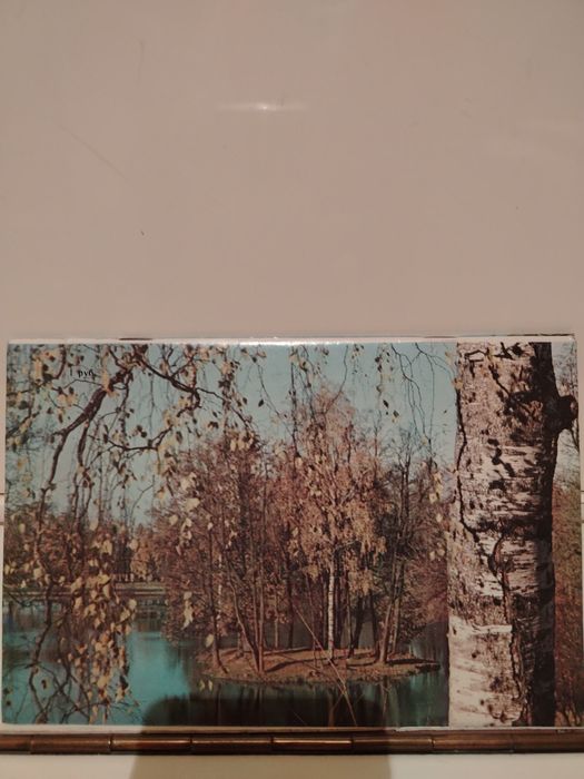 Книга Ломоносов музеи парки