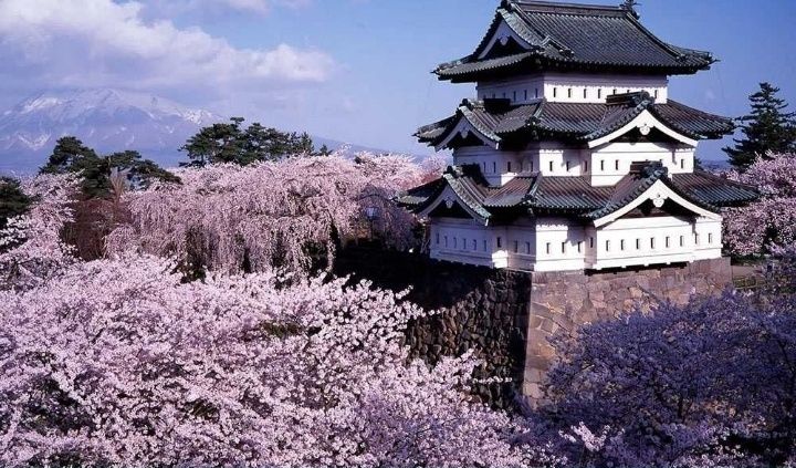 Услуги + виза в Японию