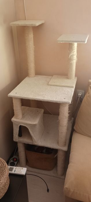 Продавам котешки