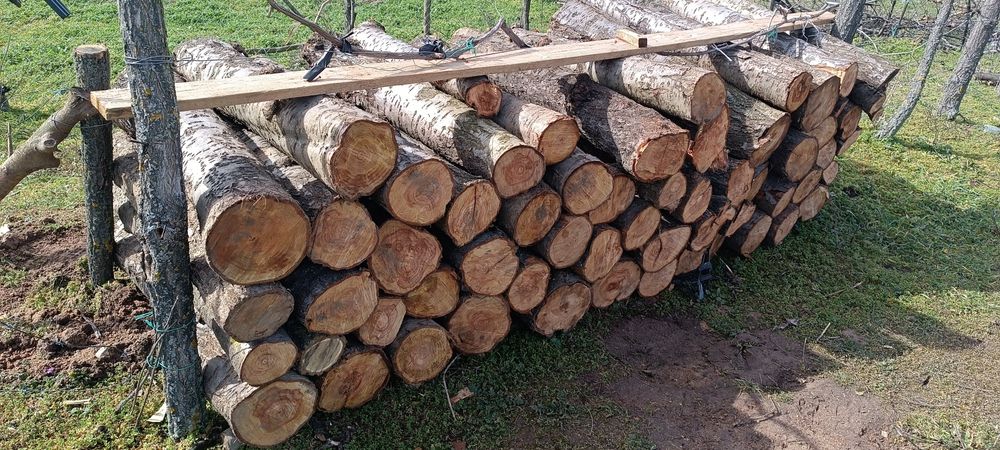 Дърва за огрев от Синя слива