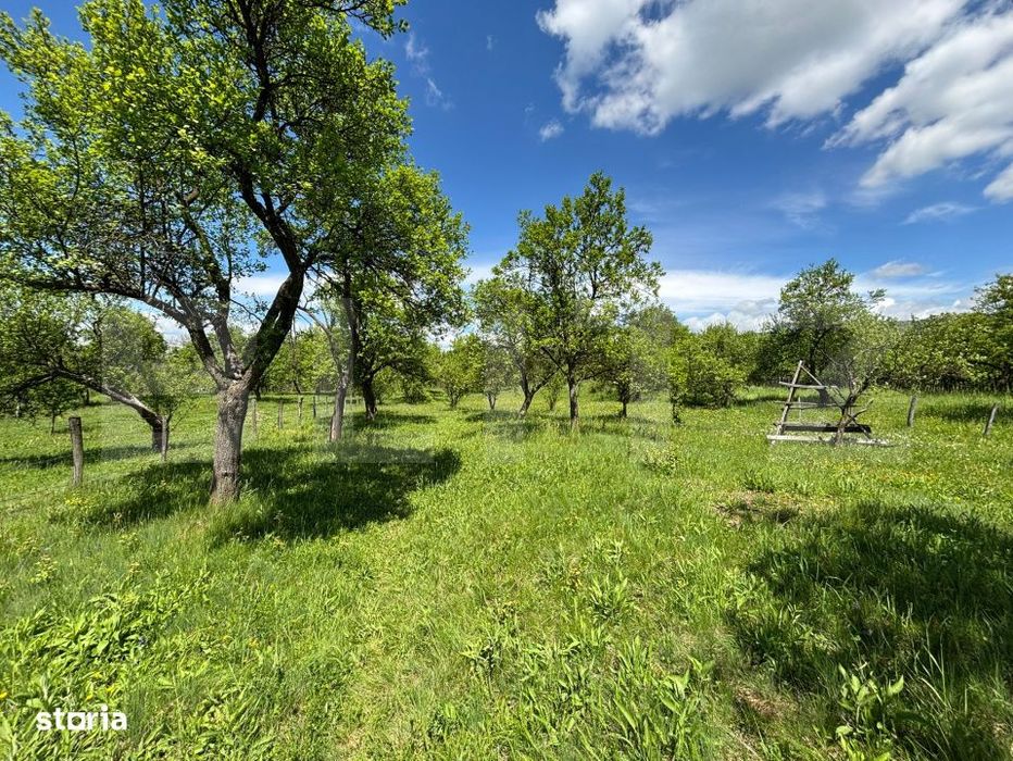 Teren intravilan 4.559 mp, zona Corbi – Corbsori