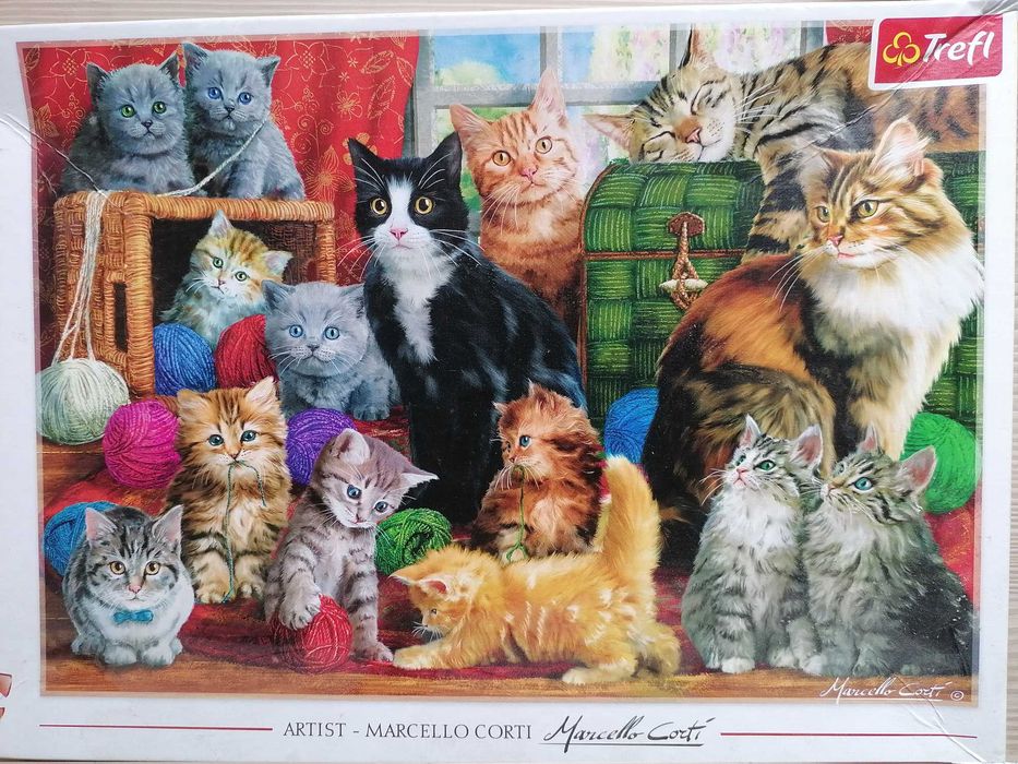Puzzle 1000 piese