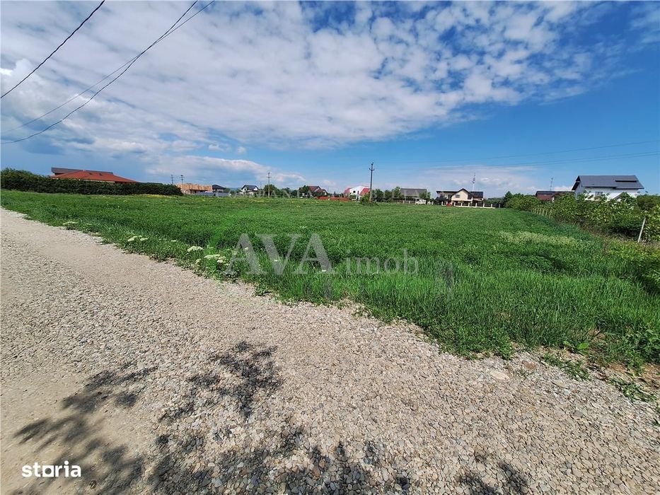 Teren intravilan 3177 mp, zona Serbanesti