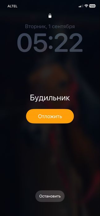Продам кунан ………..