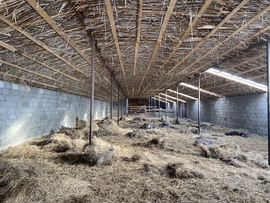 Продам действующий КХ