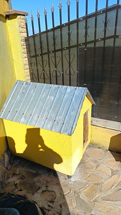 Vând doua cuști câine