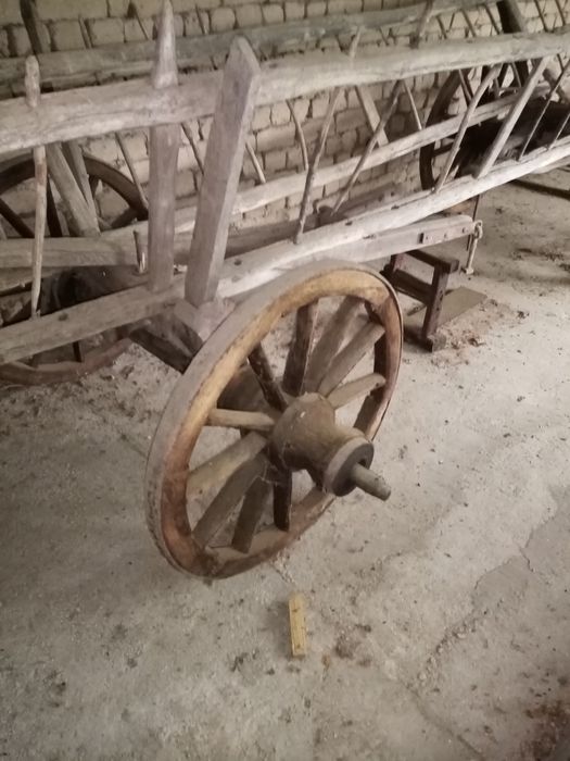 100 годишни, волска кола и шейна.